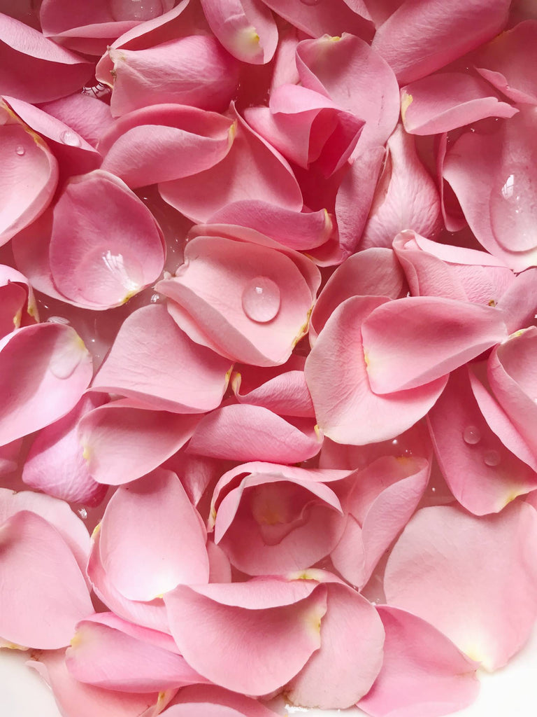 5 Ways You Can Use Rose Water in Your Daily and Nightly Routine